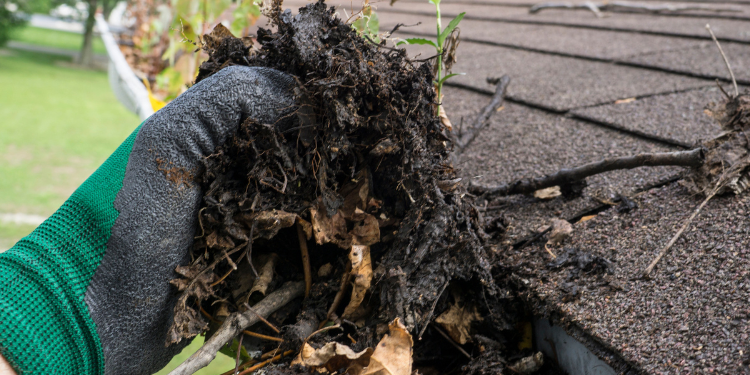 Pristine Luxury Remodeling Pristine Luxury Remodeling