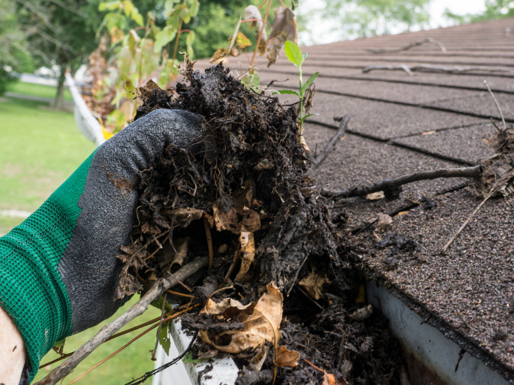 Pristine Luxury Remodeling Pristine Luxury Remodeling