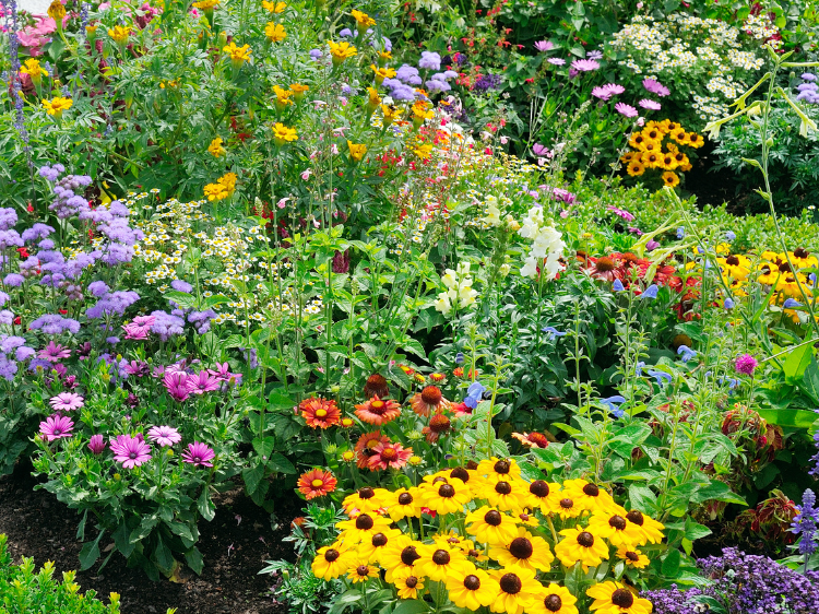 Pristine Luxury Remodeling Pristine Luxury Remodeling